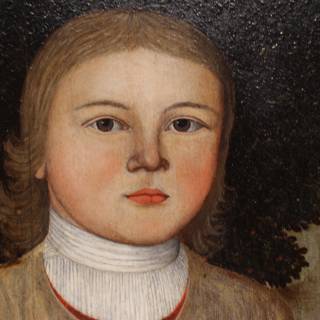 Portrait of a Young Boy with a White Collar