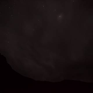 Stargazing in the Night Sky