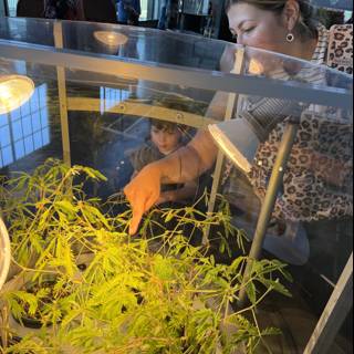 Curious Minds at the Aquarium