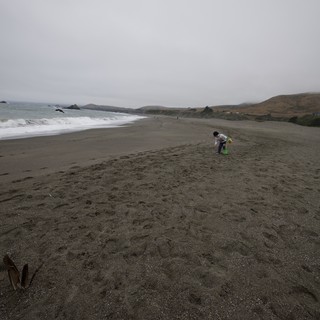 Child Exploring Foggy Northern California Coastline