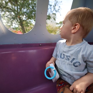 Young Child Gazing Out from Playground Structure