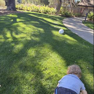 Tiny Explorer in the Backyard