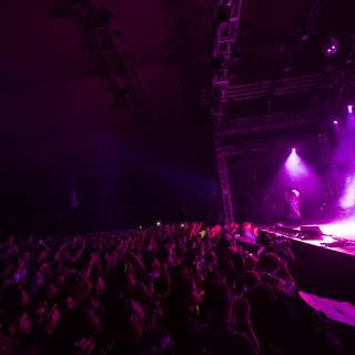 Concertgoers Bask in Purple Glow