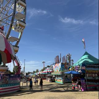 A Day at the Santa Rosa Fairgrounds