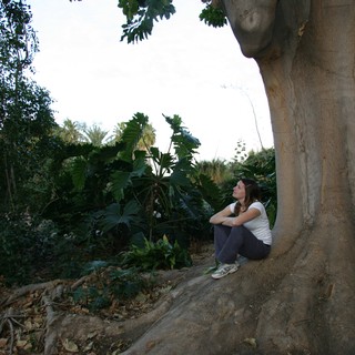 lush-vegetation