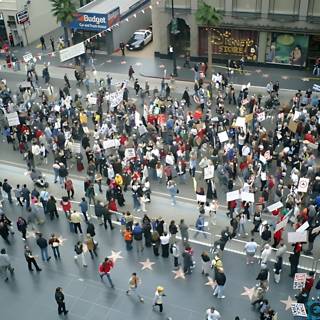 Protest in the City