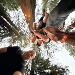 Woodland Wanderers