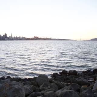 Cityscape from the Shoreline