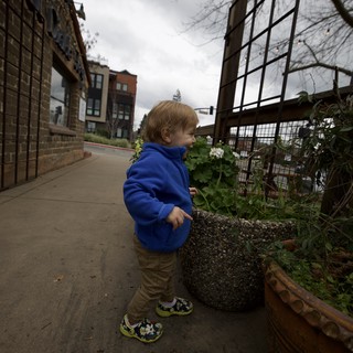 Toddler Exploring Urban Community Garden on Cloudy Day