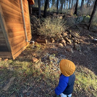 Young Explorer Surveys Rustic Cabin in Winter Forest