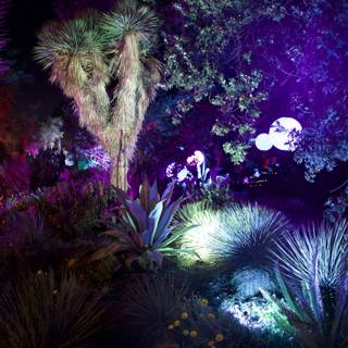 Enchanted Nocturnal Garden