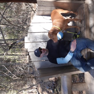 Man and Dog Relaxing on Desert Bench