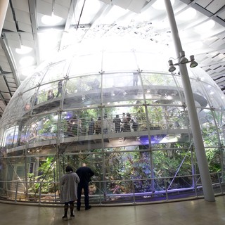 Transparent Spherical Rainforest Ecosystem Installation in Modern Museum