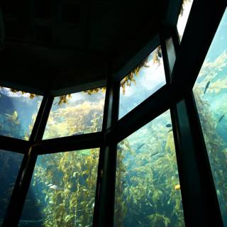 Looking into the Ocean Depths from Monterey Bay