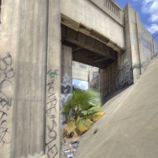 Graffiti-Decorated Overpass Bridge