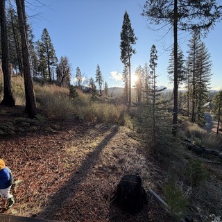 landscape-with-environmental-portrait-wide-angle-backlit