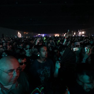 Massive Crowd Electric at Wobbleland 2026 Festival