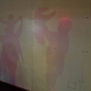 Shadows of Imagination