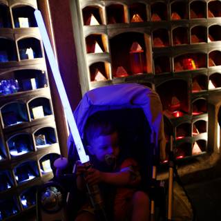 The Young Jedi at Disneyland