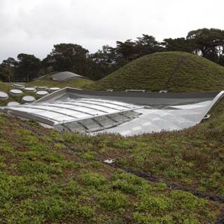 Green Roof Oasis