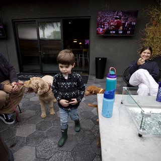Family Patio Gathering with Dogs and Football
