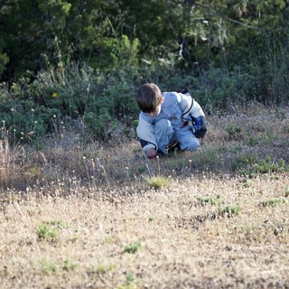 state-park-wilderness-campground