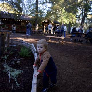 Woodland Wonders at Thistlewyck