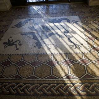 Artistic Dragon Mosaic Flooring