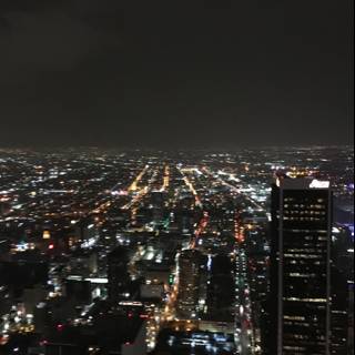 City Lights from the Los Angeles Tower