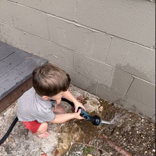 Little Adventurer at Play