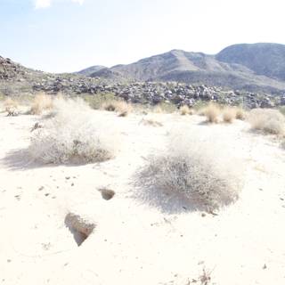 Majestic Mountain in a Desert Landscape
