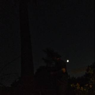 Nighttime Solitude Caption: A woman stands in peaceful solitude under a palm tree, illuminated by the gentle glow of the full moon amidst the starry night sky in Altadena, California.