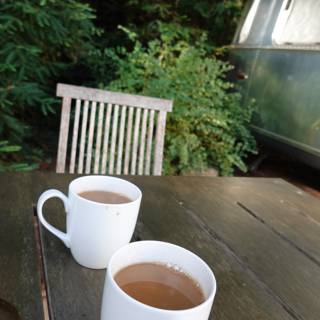 Two Cups of Herbal Tea Enjoyed by a Camper in Guerneville