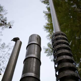 Metal Pole and Treescape