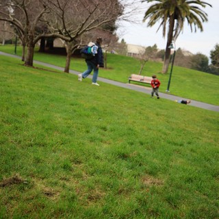 Hilltop Park Walk on Overcast Winter Day