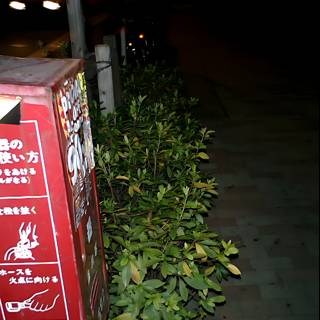 Red Box on Tokyo Sidewalk