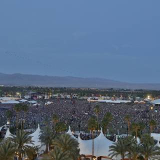 Tropical Vibes at Coachella Music Festival