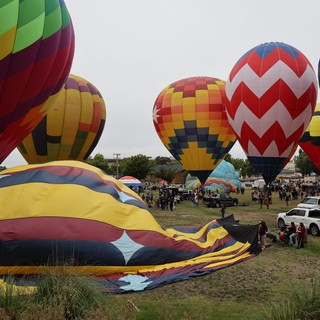 Colorful Hot Air Balloons Launch at Sonoma County Classic