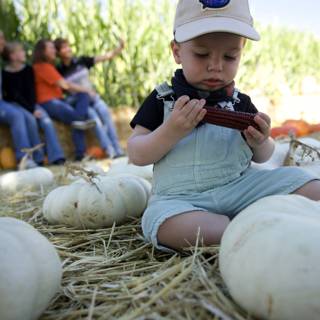 Pumpkin Pile Perch: An Autumn Afternoon with Baby Wesley