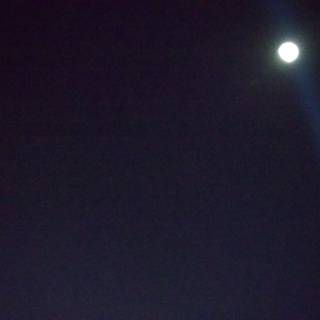 Celestial Spotlight: Moonlit Night at Coachella 2024
