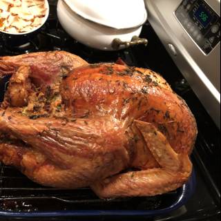 Roasting Turkey Dinner in the Oven