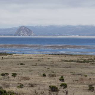 Serene Shores of Cayucos