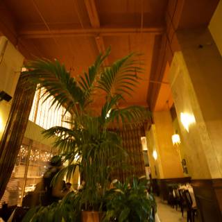 The Grand Plant in the Restaurant