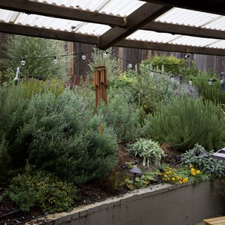 Lush Backyard Garden Under Pergola at Dusk