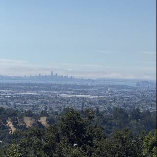 Oakland Horizons