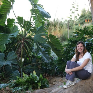 exotic-plants
