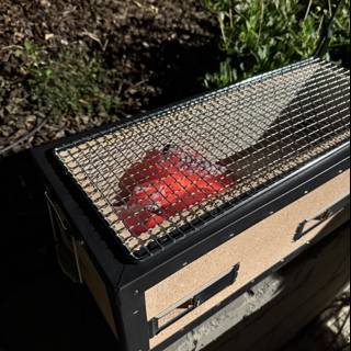 Evening BBQ Bliss