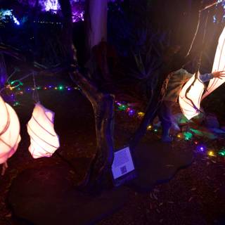 Enchanted Evenings at Garden of D'Lights