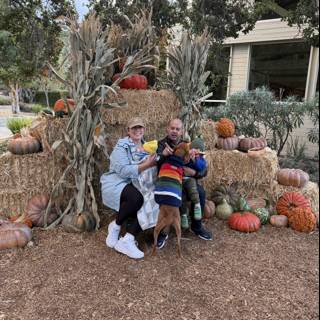 Harvest Joy in Carmel