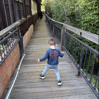 Exploring the Pathway